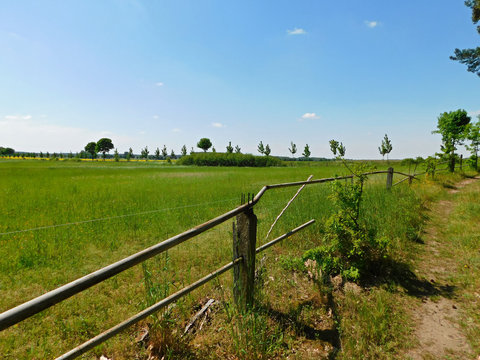 Die sch&ouml;ne Uckermark