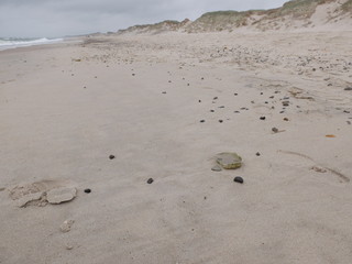 Strandungsabfall