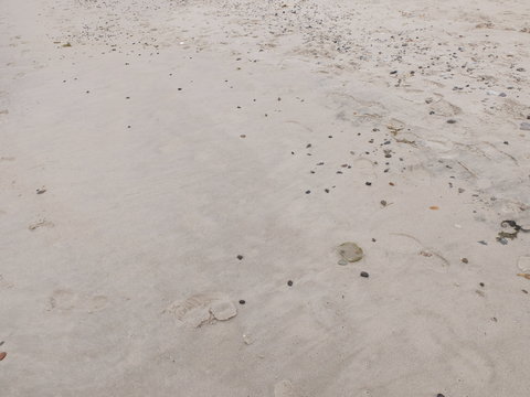 Strandungsabfall