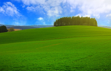 Green Grass Field Landscape and blue sky.