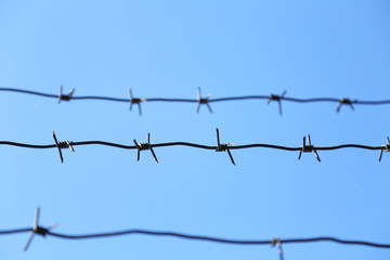 Barbed wire on blue sky background