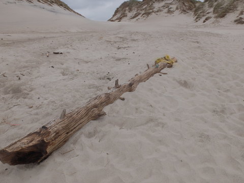 Strandungsabfall