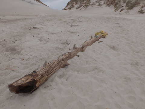 Strandungsabfall