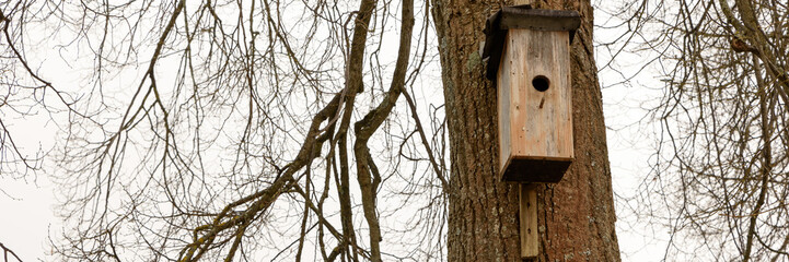 Nistkasten an einem Baum - Banner