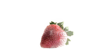 Sketch of a strawberry