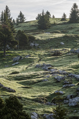 L'Alpe - Massif de la Chartreuse - Isère.