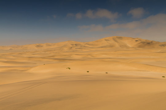 On top of a yellow sand dune