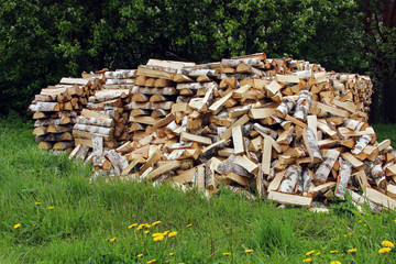pile of logs on the grass, chopped by an axe.
