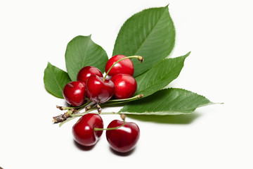 dozen beautiful cherry and one rotten, shifted the focus