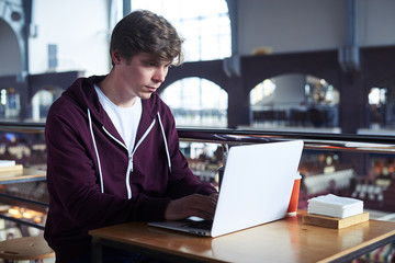 Fototapeta na wymiar Concentrated boy working in laptop