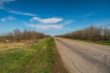 Fototapeta na wymiar The road in the Ukrainian steppe