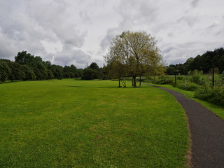 summer countryside,Northern Ireland
