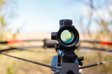 Optical sight crossbow aiming from the first person on the background of the lake. Male ohotitsya...