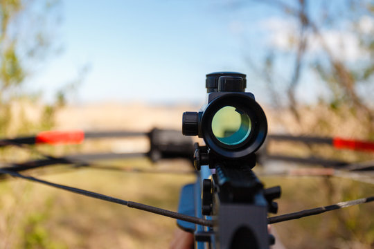 Optical sight crossbow aiming from the first person on the background of the lake. Male ohotitsya wild animals in summer forest