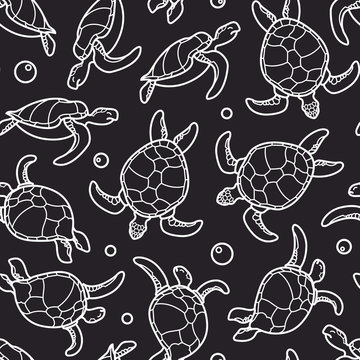 Cheloniidae. Seamless pattern with turtles. Linear graphics. Animal world under water. Ocean. Vector illustration.