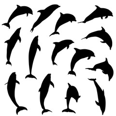 Set of jumping dolphins silhouettes isolated on white
