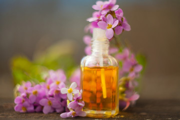 Obraz na płótnie Canvas Essential oil of Arabis flower on a table in beautiful bottle