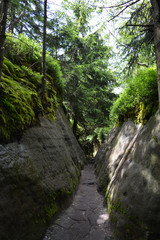 Fototapeta na wymiar Trasa na Strzeliniec Wielki - Góry Stołowe