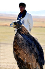 kazakh eagle 