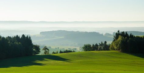 Lights and shadows. Magical morning landscape covered by the sun.