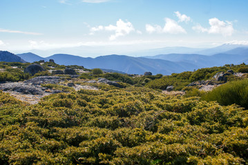 Naklejka premium Serra da Estrela, Portugal
