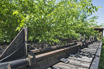 Old railway wagons in the grass