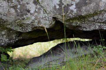 Kolorowe porosty na skale