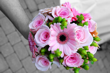 Artisan Pro Photo , Photographer