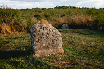 Clan Gedenkstein auf dem Moor von Culloden