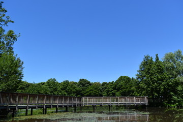 池に架かる桟橋
