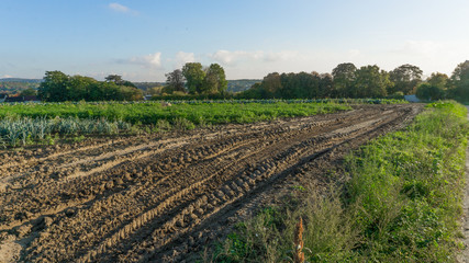 French landscape, fields in Auvers-sur-Oise