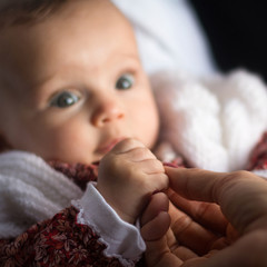 Bebês segurando  a mão da mãe.