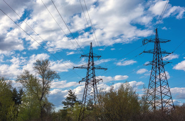 High-voltage lines against the blue sky,  pine forest. electricity