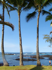 big island of hawaii