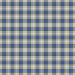 Style cool modern grunge clothing design fabric textile tartan seamless pattern