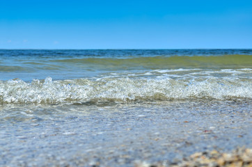 Sea waves washed clean beach made of shells. Landscape on a wild beach. The sea in the summer.