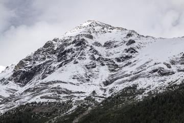 Gorgeous and snowy