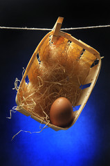 ไข่ Tojás Ձու Huevo продукт อาหาร és Trứng 알 kultúra Egg طعام Yumurta hen alimento 蛋 Œuf kulinaria Oi пищевой as thực food phẩm Uovo սննդամթերք di खाद्य Jajko gallina Яйцо Uova अण्डा  식품 بيض  © Comugnero Silvana