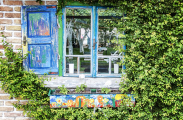 Fototapeta na wymiar House front window surrounded by ivy wall