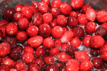 Homemade cranberry sauce
