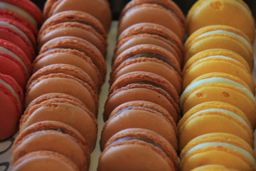 Colorful macarons in a shop
