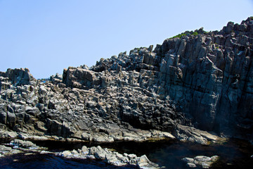 東尋坊


