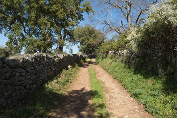 Portugal Marvão hike path hiking 8