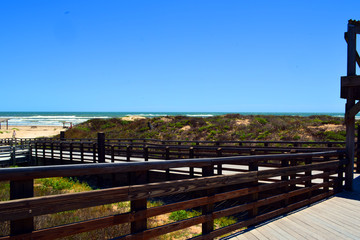 Padre Island Wood Walkway/Wooden walkway to the beach