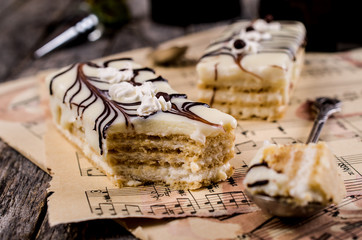 Pieces of biscuit cake