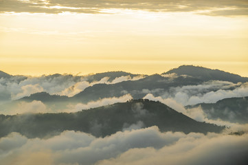 Andes, Bolivar Province, Ecuador, near the inactive stratovolcano Chimborazo in Reserva de Produccion Faunistica Chimborazo, in the Cordillera Occidental