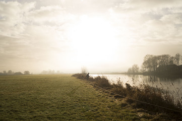 Obraz premium River the IJssel, the Netherlands 