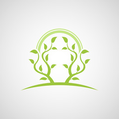 Abstract tree vector logo design template.