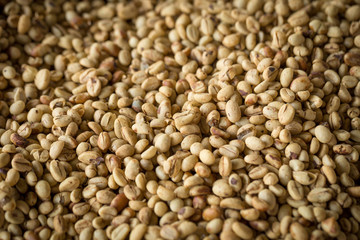 fresh raw dried coffee beans on coffee beans background.