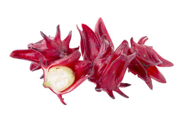 Roselle Hibiscus sabdariffa red fruit flower on white background